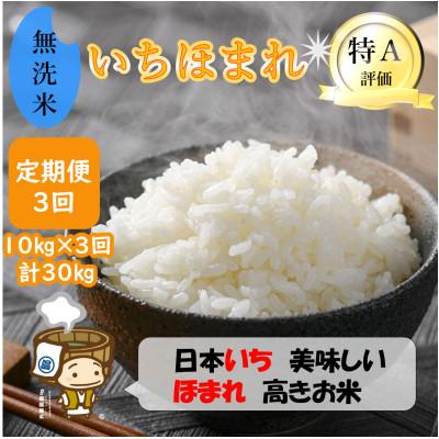 ふるさと納税 あわら市 【毎月定期便】いちほまれ 無洗米 5kg×2袋 (計10kg)全3回