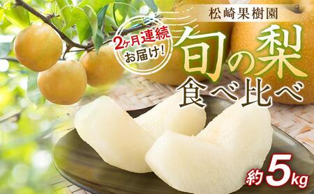 【松崎果樹園】2ヶ月連続お届け 旬の梨食べ比べ 約5kg【旬のフルーツ 果物 旬の梨 新鮮梨 梨 なし梨】