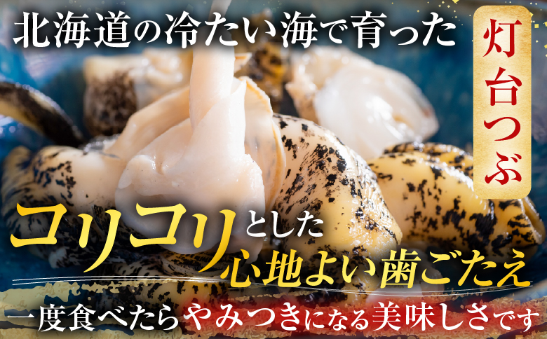 ＜12月10日決済分まで年内配送＞【北海道根室産】生食用灯台つぶ(ボイル済)250g×2P(計500g) G-14040