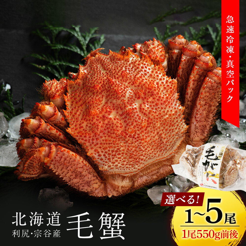 【ふるさと納税】 北海道 利尻・宗谷産 毛ガニ 中小サイズ（550g前後） 選べる1尾〜5尾＜利尻漁業協同組合＞北海道ふるさと納税 利尻富士町 ふるさと納税 北海道 海鮮 北海道 カニ 蟹 毛ガニ 毛蟹 蟹みそ 濃厚 蟹棒 蟹甲羅