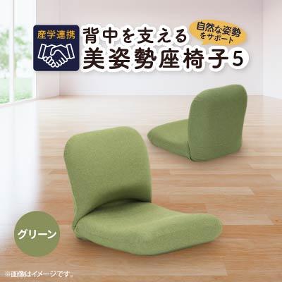 ふるさと納税 坂戸市 産学連携　背中を支える美姿勢座椅子5　グリーン