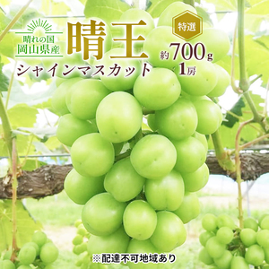 シャインマスカット 晴王 特選 岡山県産 シャインマスカット【1房 約700g】【先行予約】