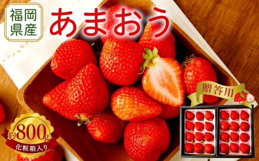 【アフター保証】贈答用 あまおう 約800g【2027年2月上旬～2027年4月上旬発送予定】 いちご イチゴ 苺 化粧箱入り