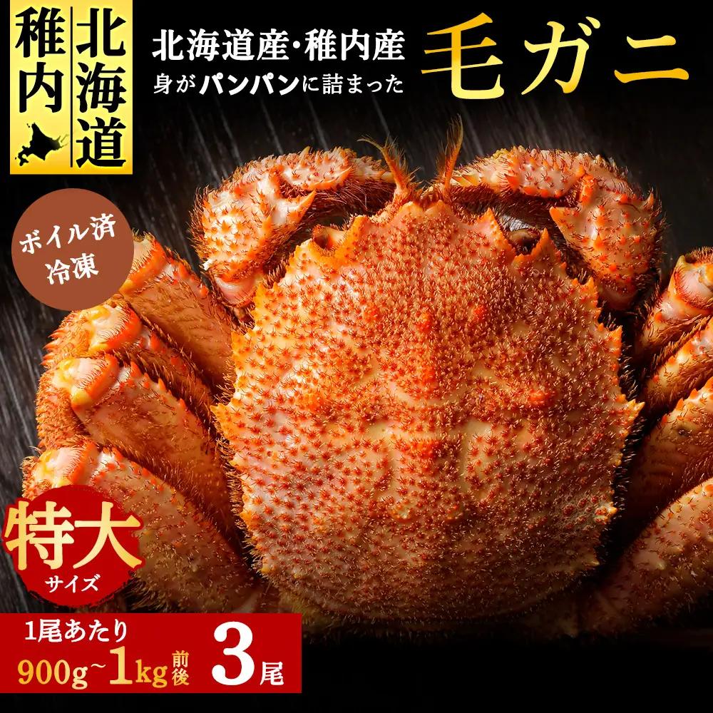 2026年新物 ＜ボイル済み急速冷凍＞身がパンパンに詰まった稚内産毛ガニ900g～1kg(超大サイズ)×3尾