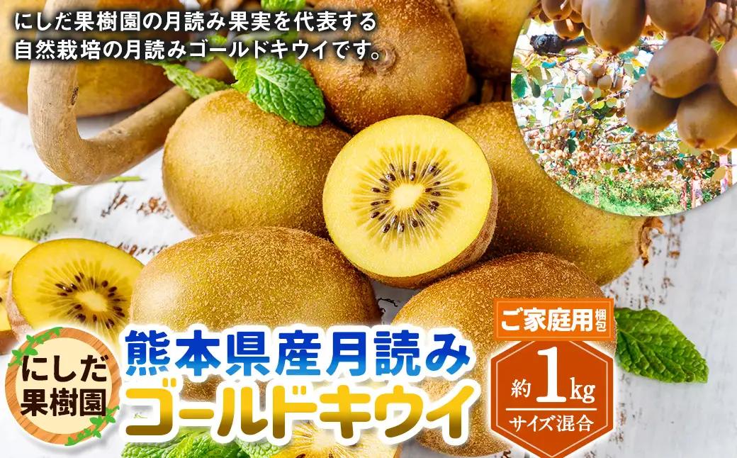 （ご家庭用梱包）にしだ果樹園の熊本県産 月読み ゴールドキウイ サイズ混合 約1kg 【2026年11月上旬発送開始】 キウイフルーツ キウイ 果物 果実 フルーツ 九州 熊本県産 熊本県 常温