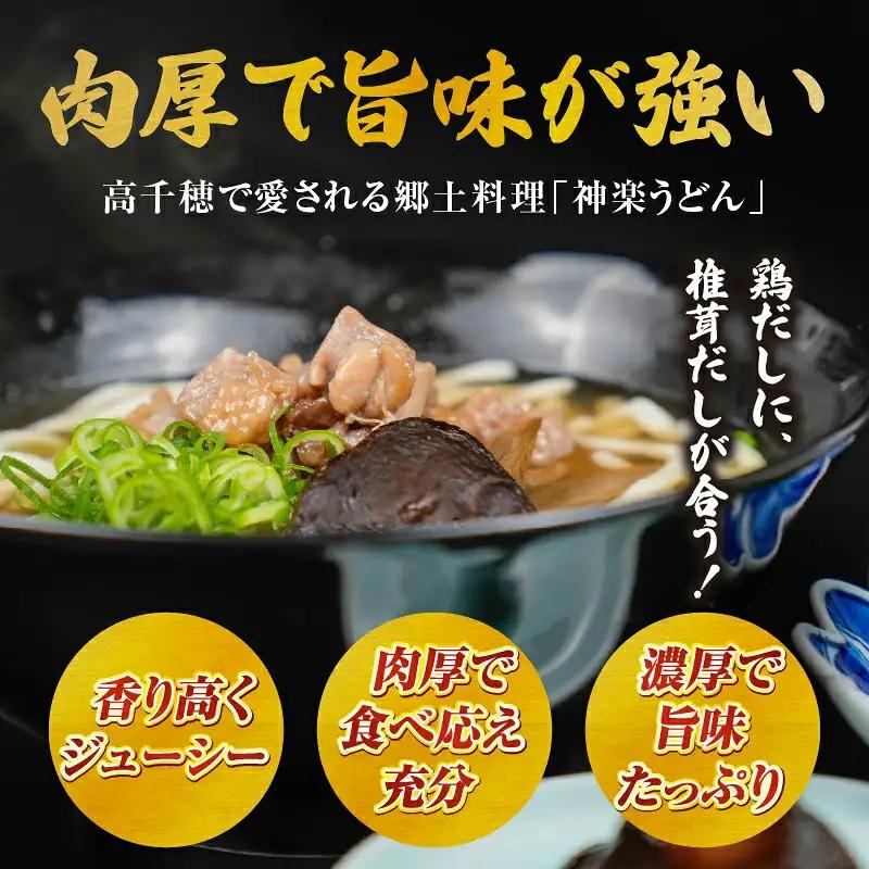 【6ヶ月定期便】乾燥しいたけ 240g（40g×6袋）×6回 1,440g しいたけ 定期便 定期 定期的 国産 宮崎県産 原木 栽培 乾燥 干し椎茸 原木椎茸 国産しいたけ 小分け 袋 小袋 普段使