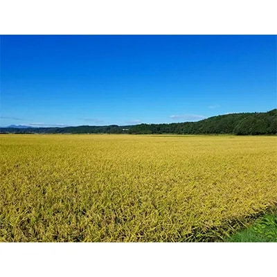 【令和7年産】青森県産まっしぐら20kg【配送不可地域：離島・沖縄県】