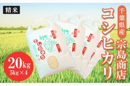 令和6年産　千葉県産 コシヒカリ（精米）20kg SHM003