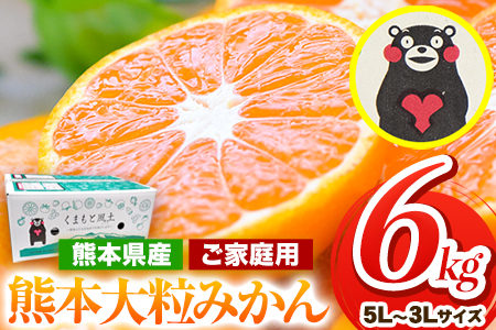  訳あり 大粒みかん 6kg  5L～3Lサイズ 《2026年1月中旬-2月末頃出荷》 みかん 訳ありみかん 熊本県産みかん 大容量