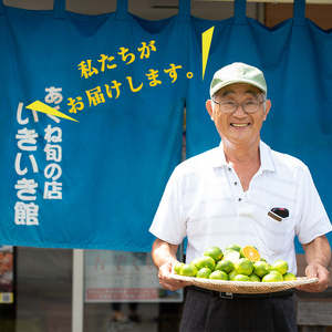 ＜先行予約受付中！2025年9月下旬以降順次発送予定＞鹿児島県阿久根産 極早生みかん (10kg) 国産 ミカン 蜜柑 オレンジ 柑橘 果物 フルーツ 温州 期間限定【あくね旬の店いきいき館】akn0
