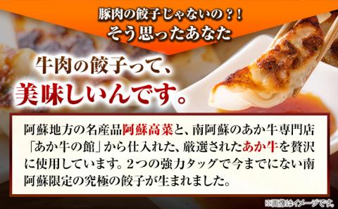 あか牛と高菜の餃子 18個入り×3箱 南阿蘇物産センター《30日以内に出荷予定(土日祝除く)》---sms_fautkngz_30d_23_14500_46p---