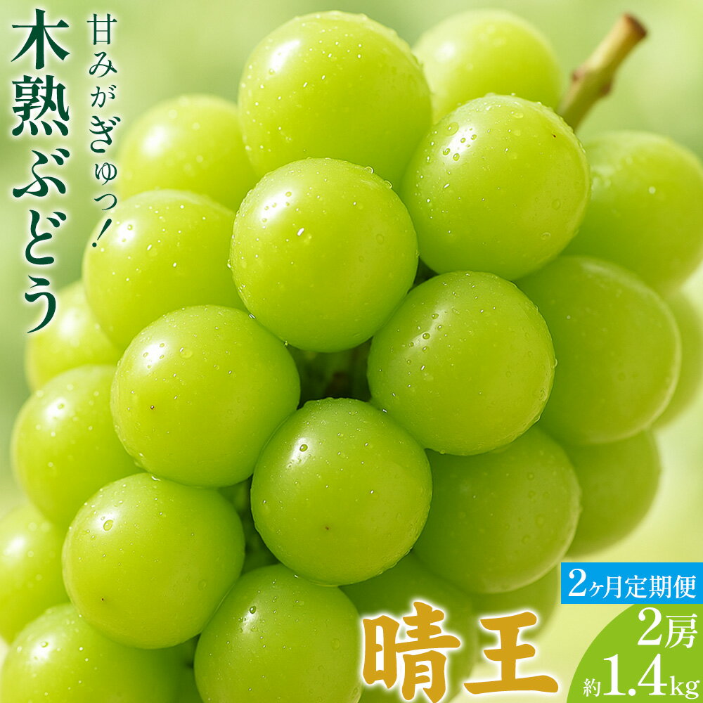 【ふるさと納税】【2ヶ月定期便】木熟ぶどう 晴王 2房 約1.4kg ×2回お届け ハレノフルーツ《9月上旬-10月末頃出荷》岡山県 浅口市 シャインマスカット フルーツ 果物 デザート【配送不可地域あり】