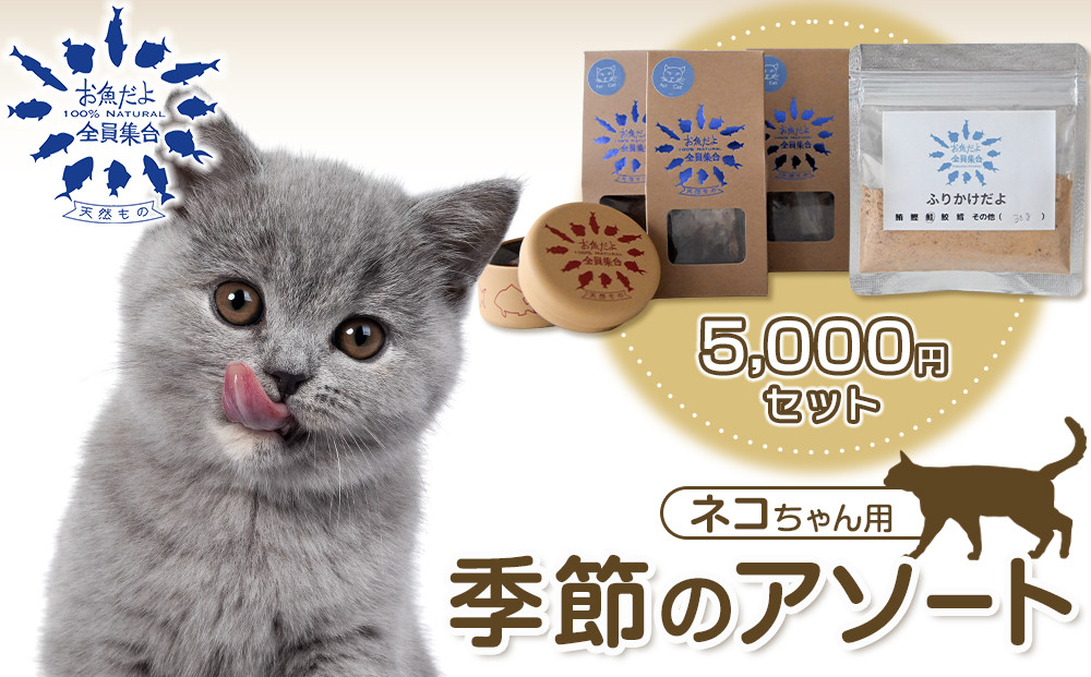 お魚だよ全員集合　季節のアソートセット 5,000円セット　ネコちゃん用｜ペット おやつ 猫 ペットフード 141305_KY04