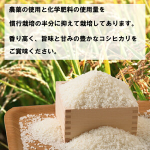 特別栽培米　出雲市産コシヒカリ　5ｋｇ