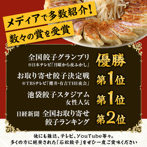 餃子 浜松餃子 石松 食べ比べセット 58個 餃子