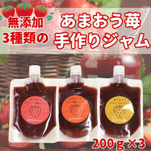 3種類のいちごジャム 無添加 あまおうイチゴ 200g×3袋 手作り 国産 チューブ パウチ入り