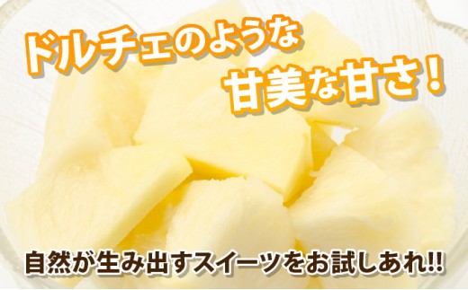 【先行予約2026年6月下旬頃から順次発送】最高糖度20度！？クリーミーな味わいが魅力の石垣島産完熟サンドルチェ 2個セット