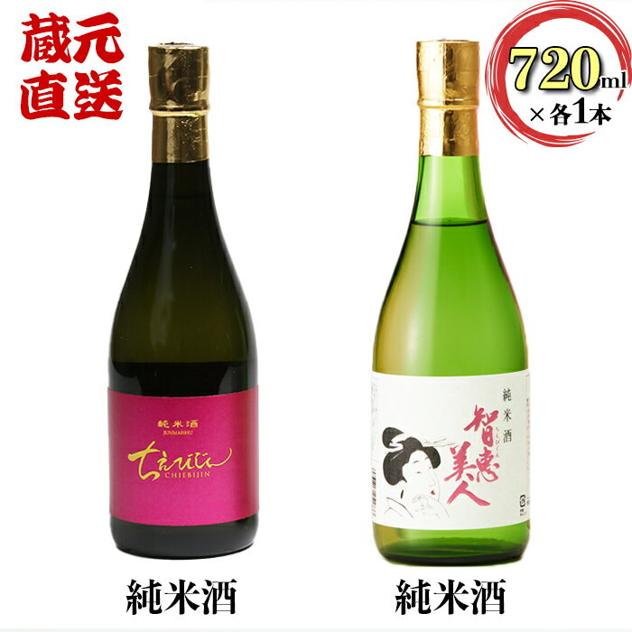 【ふるさと納税】ちえびじん純米酒+智恵美人純米酒 飲み比べセット【中野酒造】 日本酒 人気 ギフト 贈答 ＜110-017＞