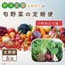 【ふるさと納税】【到着日指定可!!】【6ヶ月定期便】野菜王国なめがたの旬野菜の定期便（さつまいも入り）｜CU-133