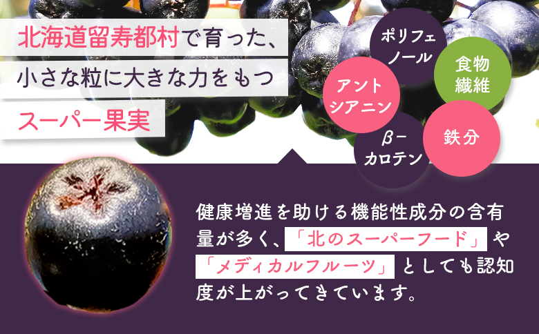ふるさと納税 北海道 北海道産 留寿都 留寿都村 ルスツ ルスツリゾート ルスツファーム ルスツファーム産 アロニアベリー アロニア ベリー 1kg 1キログラム 冷凍 冷凍保存 スーパーフード アン