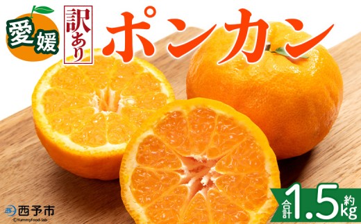 ＜【訳あり】愛媛県産 ポンカン 約1.5kg＞『2027年1月上旬～3月上旬迄順次発送予定』 わけあり 訳アリ 果肉 ぽんかん ジューシー みかん 蜜柑 果物 くだもの フルーツ ミカン 果汁 国産 特産品 株式会社三代目みかん職人 愛媛 西予市【常温】