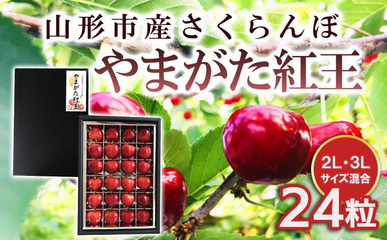 
            山形市産 さくらんぼ 【やまがた紅王】 2L/3Lサイズ混合 24粒 【令和7年産先行予約】FS24-590くだもの 果物 フルーツ 山形 山形県 山形市 2025年産
          