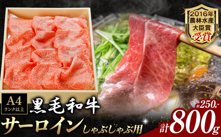 
                  厳選 くまもと黒毛和牛 しゃぶしゃぶ用 サーロイン 250g 450g 600g 800g《30日以内に出荷予定(土日祝除く)》熊本県 大津町 和牛焼肉LIEBE くまもと黒毛和牛 サーロイン ロース しゃぶしゃぶ 冷蔵 リーベ
                