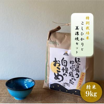 ふるさと納税 多治見市 【令和7年産:精米】特別栽培米コシヒカリ(9kg)+【美濃焼】青輝貫入茶碗