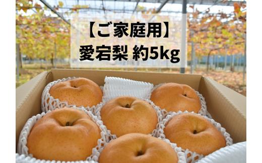 KF-C008-02【きよとうファーム】あたご梨 ご家庭用/約５㎏ (岡山県産)