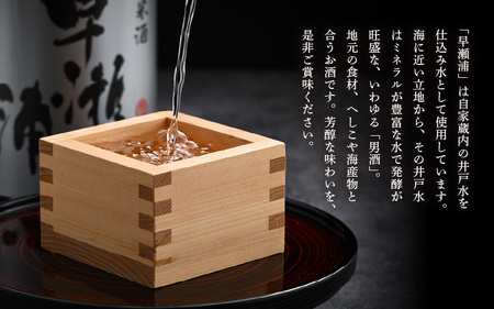 【早瀬浦】本醸造 1800ml × 2本 ＆ 純米酒 1800ml × 2本 セット【飲み比べ 日本酒 地酒 福井 美浜 早瀬 フルーティ 男酒 硬水 ミネラル 希少 ご褒美 家飲み】[m16-c00