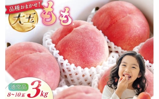 【2026年発送】 桃 山梨 大玉 8～10玉 約 3kg もも モモ 3キロ 果物 フルーツ くだもの 果実 朝採れ 朝どれ 旬 季節限定 期間限定 数量限定 冷蔵 大玉桃 デザート 農園産直 産地直送 ジューシー 厳選 [斉藤農園 山梨県 韮崎市 20743041]