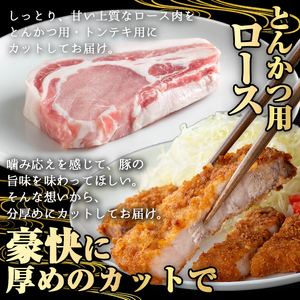鹿児島県産霜降りトロ豚 とんかつ用ロース (計600g・200g×3枚) 鹿児島県産 豚肉 霜降り 【KNOT】 A570