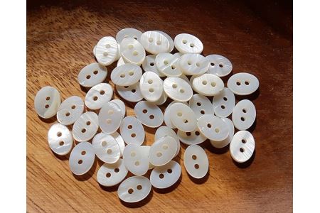 No.067 WATAKUMI　白シャツ　HIYOKU（LL）