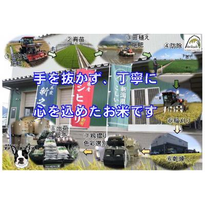 ふるさと納税 阿賀野市 【令和7年産先行受付】阿賀野市産新之助「ファームホリコシ 新之助」5kg 白米 精米 |  | 02