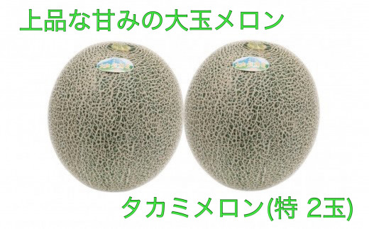 AS-14　貴味（タカミ）メロン（特）　２玉