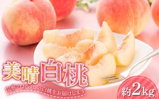 山形県産 美晴白桃（硬い桃） 秀品 約2kg（5玉～9玉入り） 化粧箱 《2025年度8月下旬発送開始》  もも モモ 桃 デザート フルーツ 果物 くだもの 果実 食品 山形県 FSY-1350