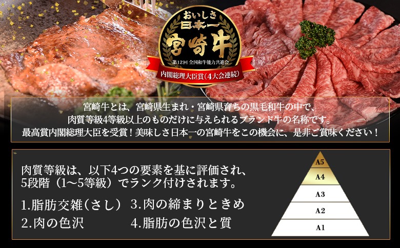 ＜宮崎牛 切落し焼肉1kg（500g×2）＞入金確認後、1～3か月以内に順次出荷【 国産 黒毛和牛 牛肉 牛 精肉 赤身 ブランド牛 ちょっと豪華 毎日の食卓 プチ贅沢 ご褒美 旨味 普段使い アレンジ自由 炒め物 煮物 お料理 切り落とし ミヤチク 宮崎県 】【b0986_my_x1】