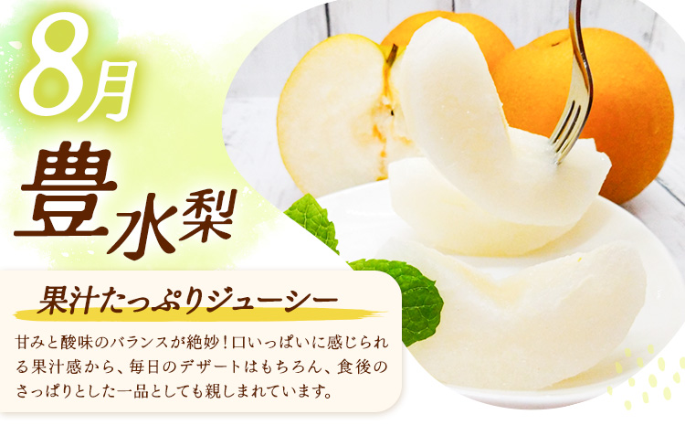 【3ヶ月定期便】梨 定期便 秀品 3ヶ月連続 梨の定期便 リッチ 計9kg 日本フルーツ株式会社《8月上旬-10月末頃出荷》熊本県 長洲町 なし ナシ 豊水梨 秋月梨 新高梨 果物 フルーツ---sn