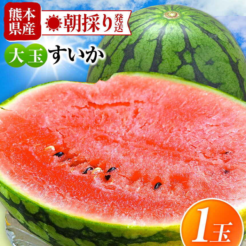 【ふるさと納税】【 先行予約 】大玉スイカ 1玉 すいか スイカ 果物 フルーツ 大玉 国産 熊本県 和水町 西瓜 大玉くまもと 熊本県