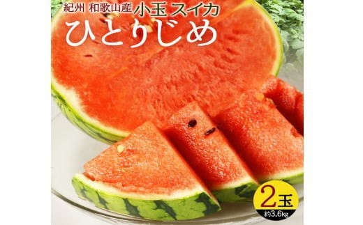 紀州和歌山産小玉スイカ「ひとりじめ」２玉【予約】※2027年5月下旬頃～6月下旬頃に順次発送予定(お届け日指定不可) スイカ すいか 果物【uot779B】