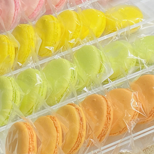 【Yasunori Okada】冷凍マカロン6個 詰め合わせ（北海道・沖縄県・離島は配送不可） | セット スイーツ 洋菓子 デザート ギフト プレゼント バレンタイン 信州 長野県 おうちカフェ