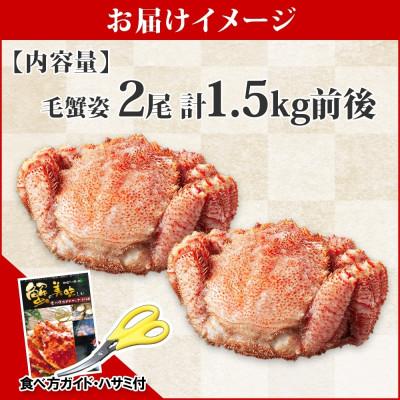 ふるさと納税 弟子屈町 毛蟹 姿 2尾 計1.5kg前後 ボイル 食べ方ガイド・専用ハサミ付 北海道 弟子屈町 2456 |  | 03