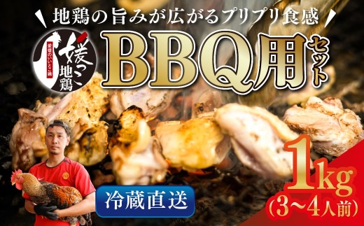 媛っこ地鶏 BBQセット 1kg（3～4人前）｜ モモ ムネ 手羽先 愛媛県 久万高原町 久万山養鶏研究所 地鶏 鶏肉 肉 食感 旨み アウトドア キャンプ 炭火焼 ジューシー お取り寄せ グルメ 国産 冷蔵 ※北海道・沖縄・離島への配送不可