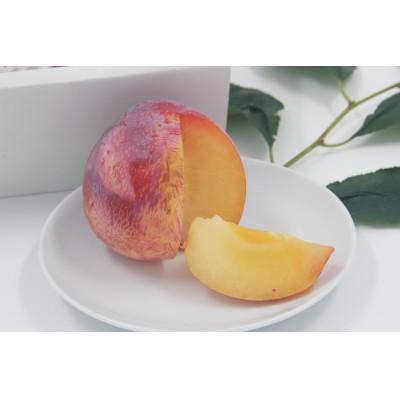 ふるさと納税 甲州市 【2025年先行受付】山梨県甲州市産 すもも『貴陽』約1.5kg(化粧箱中玉7〜10玉) |  | 01