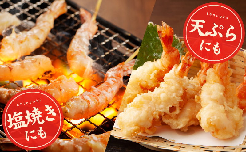 ＼えび三昧／天然えび 串 30本 約750g 訳あり サイズ不揃い 背ワタなし 010B1223