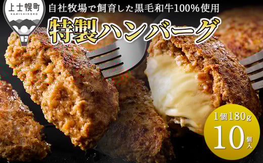 黒毛和牛 100％ ハンバーグ 2種セット 180g×10個 プレーン チーズ 牛 肉 牛肉 和牛 小分け 個包装 冷凍 ［017-D62］ ※オンライン申請対応