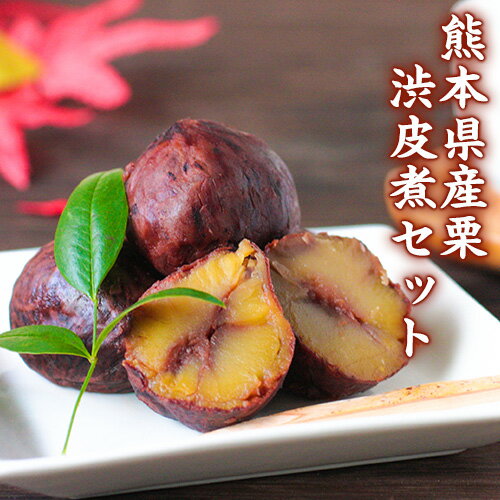 【ふるさと納税】熊本県山江村産 熊本県産栗渋皮煮250g 2袋セット 有限会社 やまえ堂 《60日以内に出荷予定(土日祝除く)》|栗