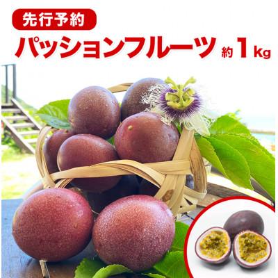 ふるさと納税 南城市 《2026年5〜6月発送》南城市産パッションフルーツ　約1kg