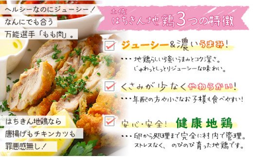 【大川村と芸西村の共通返礼品】はちきん地鶏モモ肉 1kg＆土佐鴨鴨鍋セット 4〜5人用