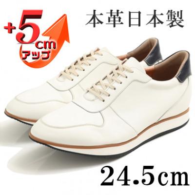 ふるさと納税 大和郡山市 スニーカー 本革紐タイプ 5cmアップシークレットシューズ ホワイト 24.5cm No.801
